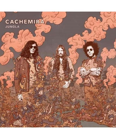 CACHEMIRA LP - Jungla (Vinyl) $16.98 Vinyl