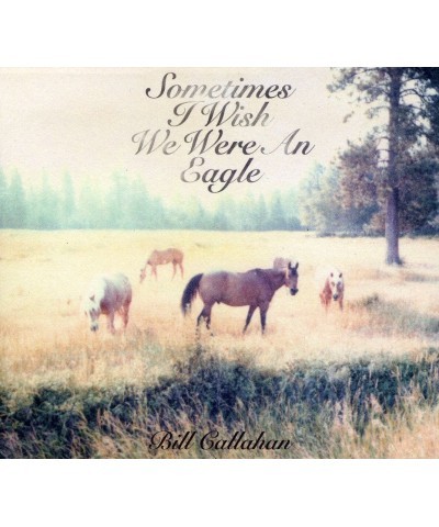 Bill Callahan SOMETIMES I WISH WE WERE AN EAGLE CD $8.38 CD