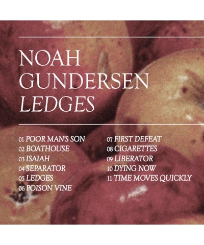 Noah Gundersen Ledges (CD) $4.33 CD